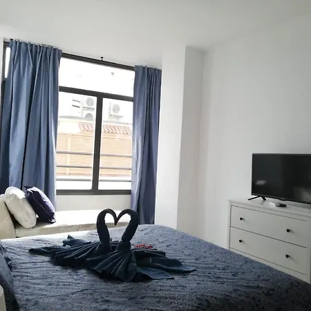 Apartamento Con Encanto 'larios Luxy' Malaga