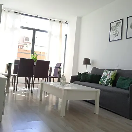 Apartment Apartamento Con Encanto 'larios Luxy' Malaga
