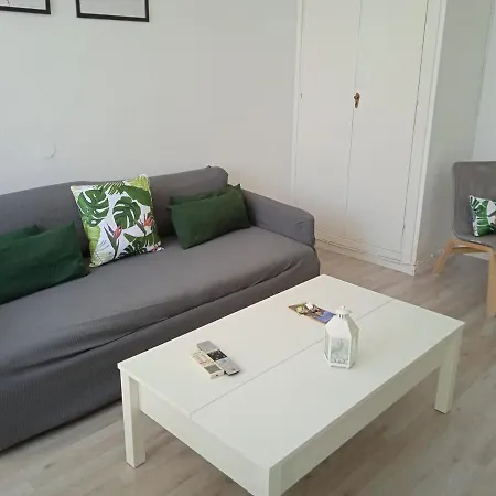 Apartment Apartamento Con Encanto 'larios Luxy' Malaga