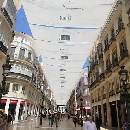 Apartamento Con Encanto 'larios Luxy' Apartment Malaga
