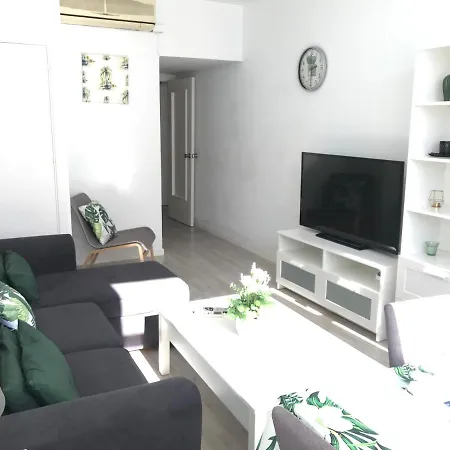 Apartment Apartamento Con Encanto 'larios Luxy' Malaga